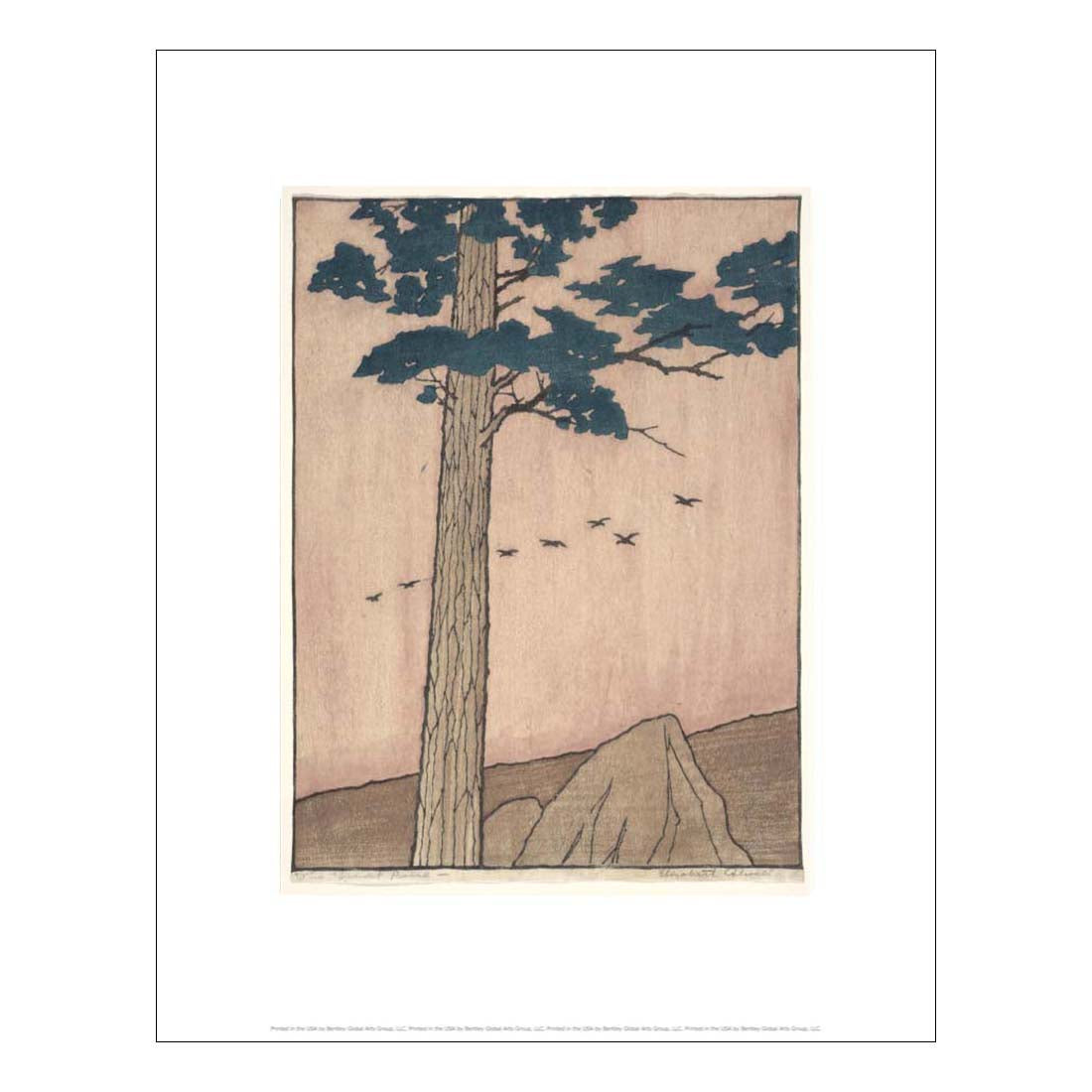 Colwell The Great Pine Print