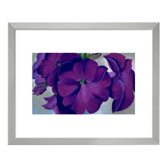 DPF-393737-1114F-402_240x.jpg?