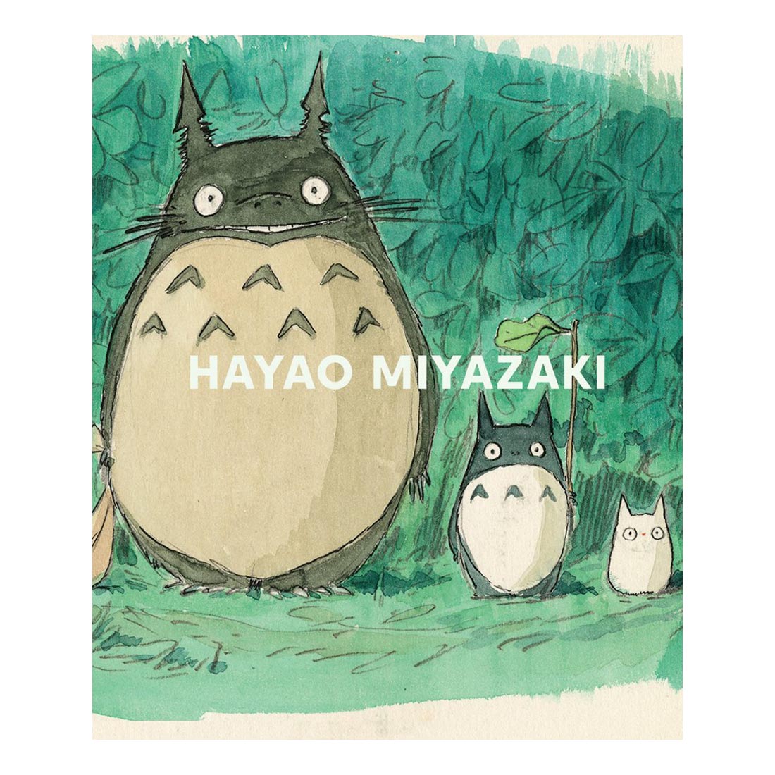 Cover of a book titled 'Hayao Miyazaki' featuring illustrated characters from the filmmaker's animated films.